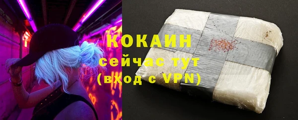 a pvp Коряжма