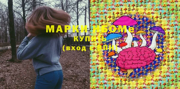 PSILOCYBIN Кодинск