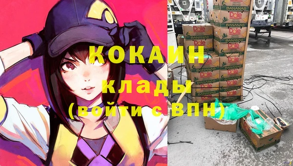стафф Козельск