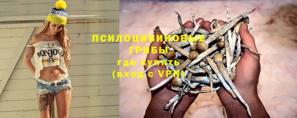 PSILOCYBIN Кодинск