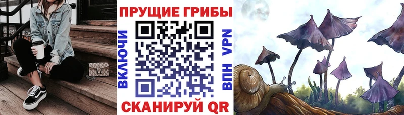 Купить закладки  Губкинский  Галлюциногенные грибы мухоморы 